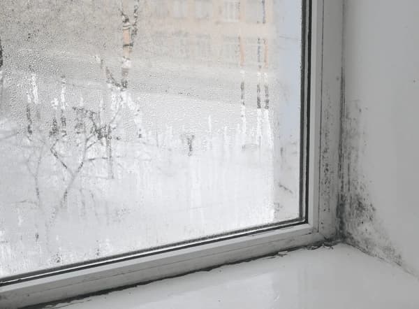 A close up view of dark mold spots spreading across the corner of a white indoor wall